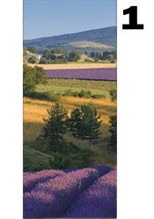 deurposter natuur lavendel
